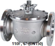110F, DN150